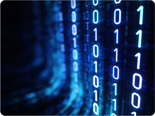 High-bandwidth and high-density scale-out networks